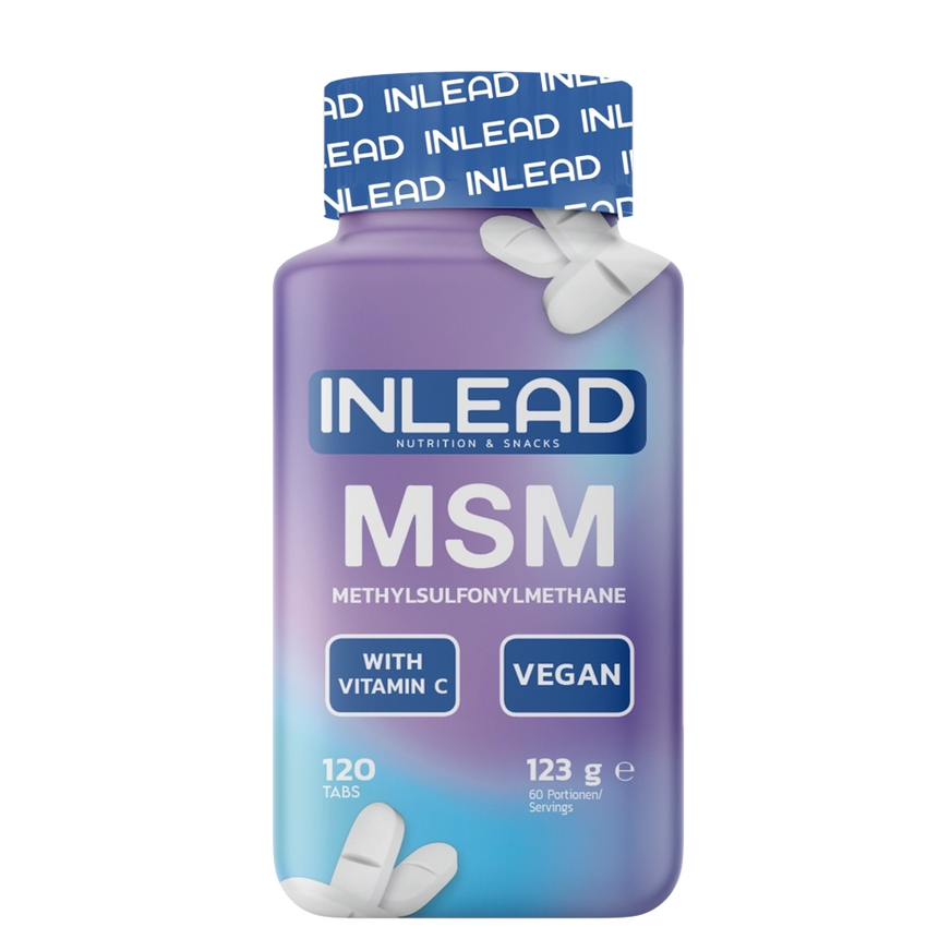 INLEAD MSM + Vitamins 120 Kapseln