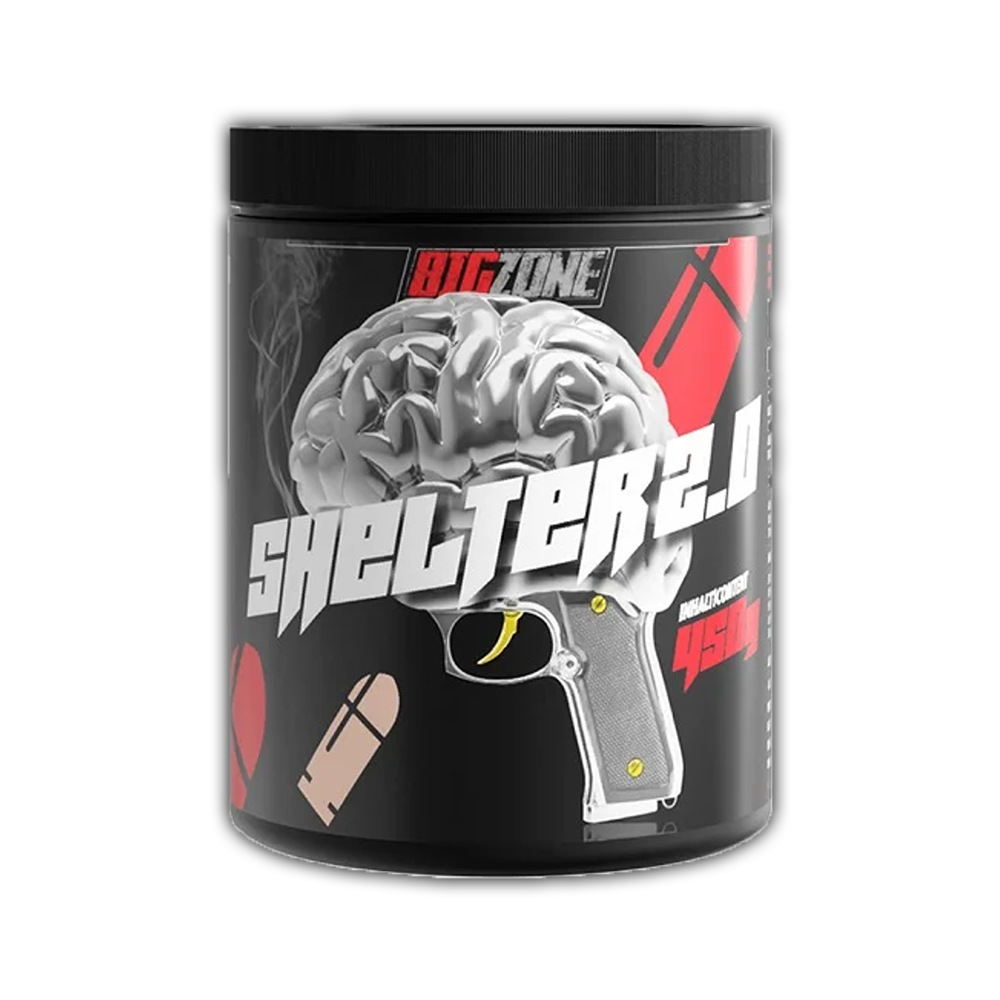 Big Zone Shelter 2.0 450g