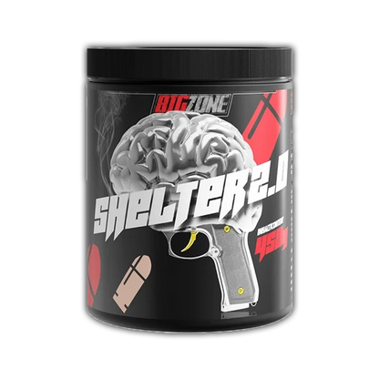 Big Zone Shelter 2.0 450g